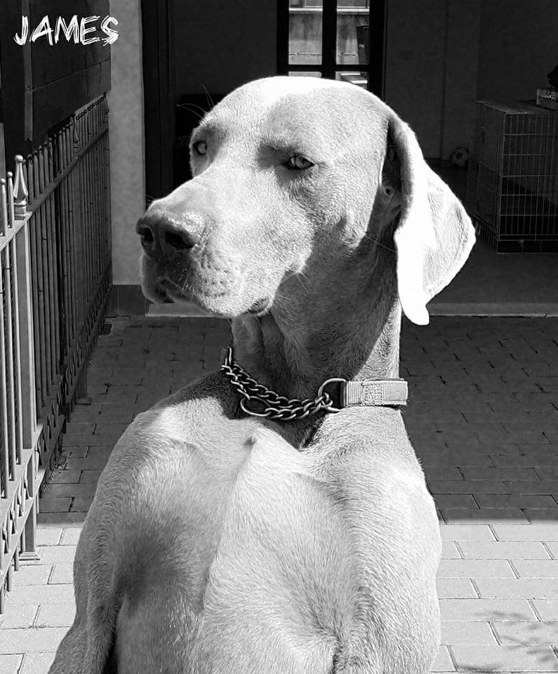 img-20161001-wa0010