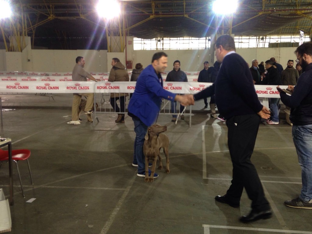 IMG-20160312-WA0020